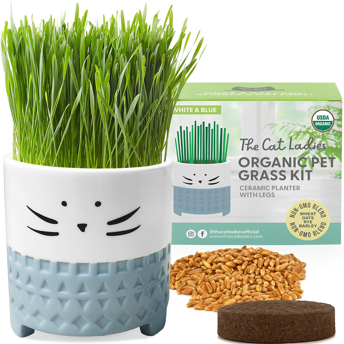 The Cat Ladies cat grass seed mix pack sprouting into bright green blades for indoor cats