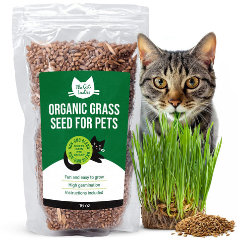 The Cat Ladies cat grass seeds package for easy storage and access.