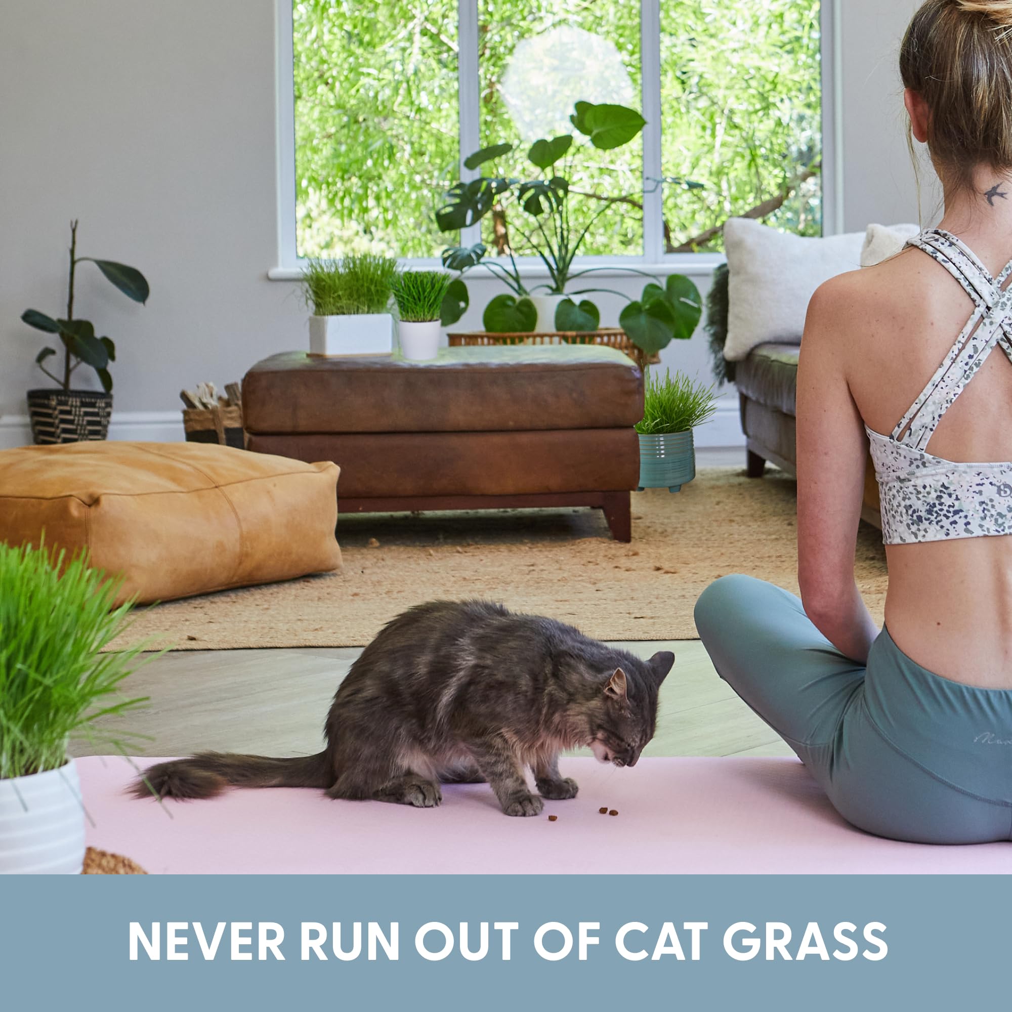 The Cat Ladies locally sourced seeds, supports sustainability and freshness.
