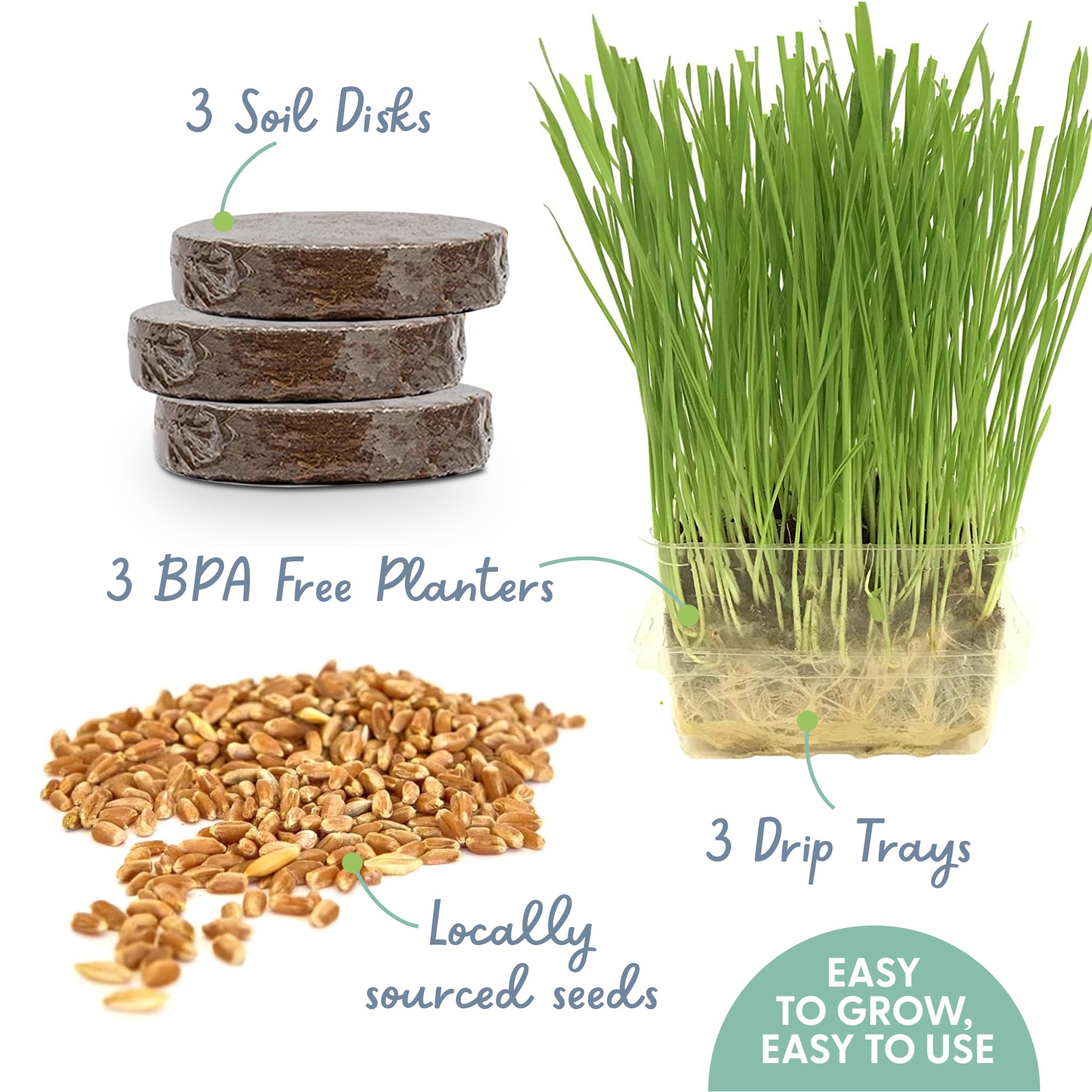 The Cat Ladies organic cat grass seeds blend, high-quality nutrition for a tasty indoor treat.