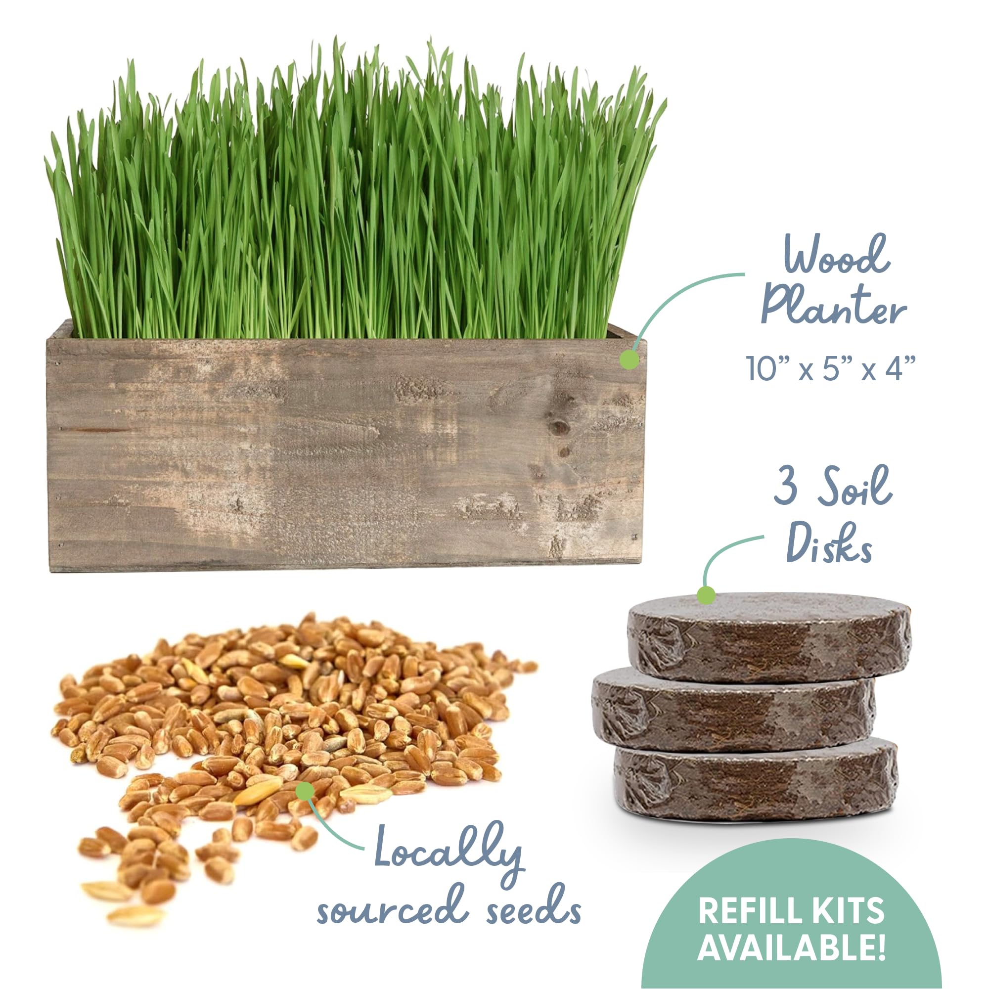 The Cat Ladies organic cat grass seeds ready to sprout in days.