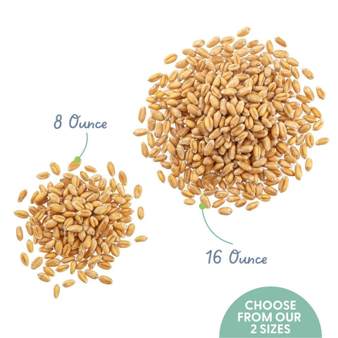 The Cat Ladies organic wheatgrass seeds—natural feline snack.