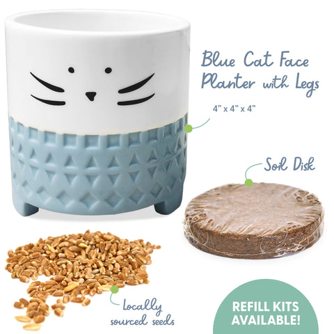 The Cat Ladies potting soil disk activated for quick cat grass growth