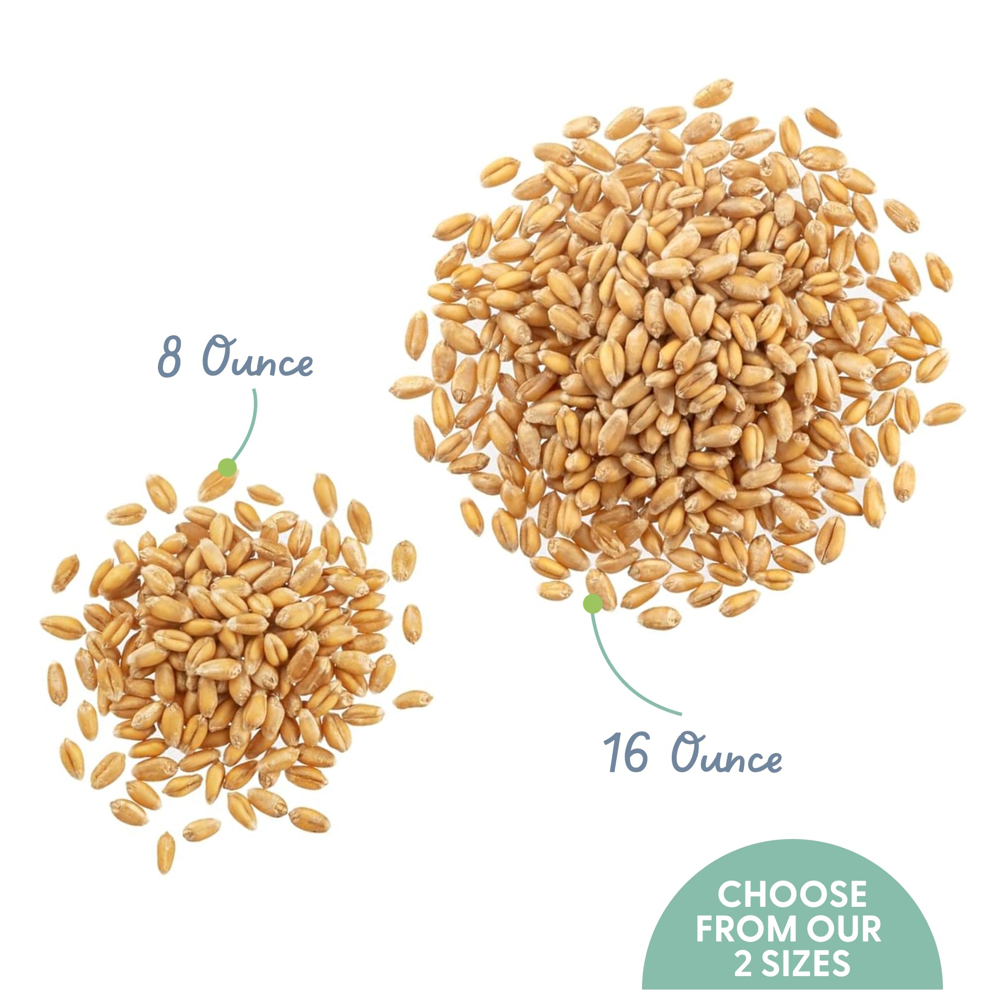 Close-up of The Cat Ladies seed blend ingredients for cat grass