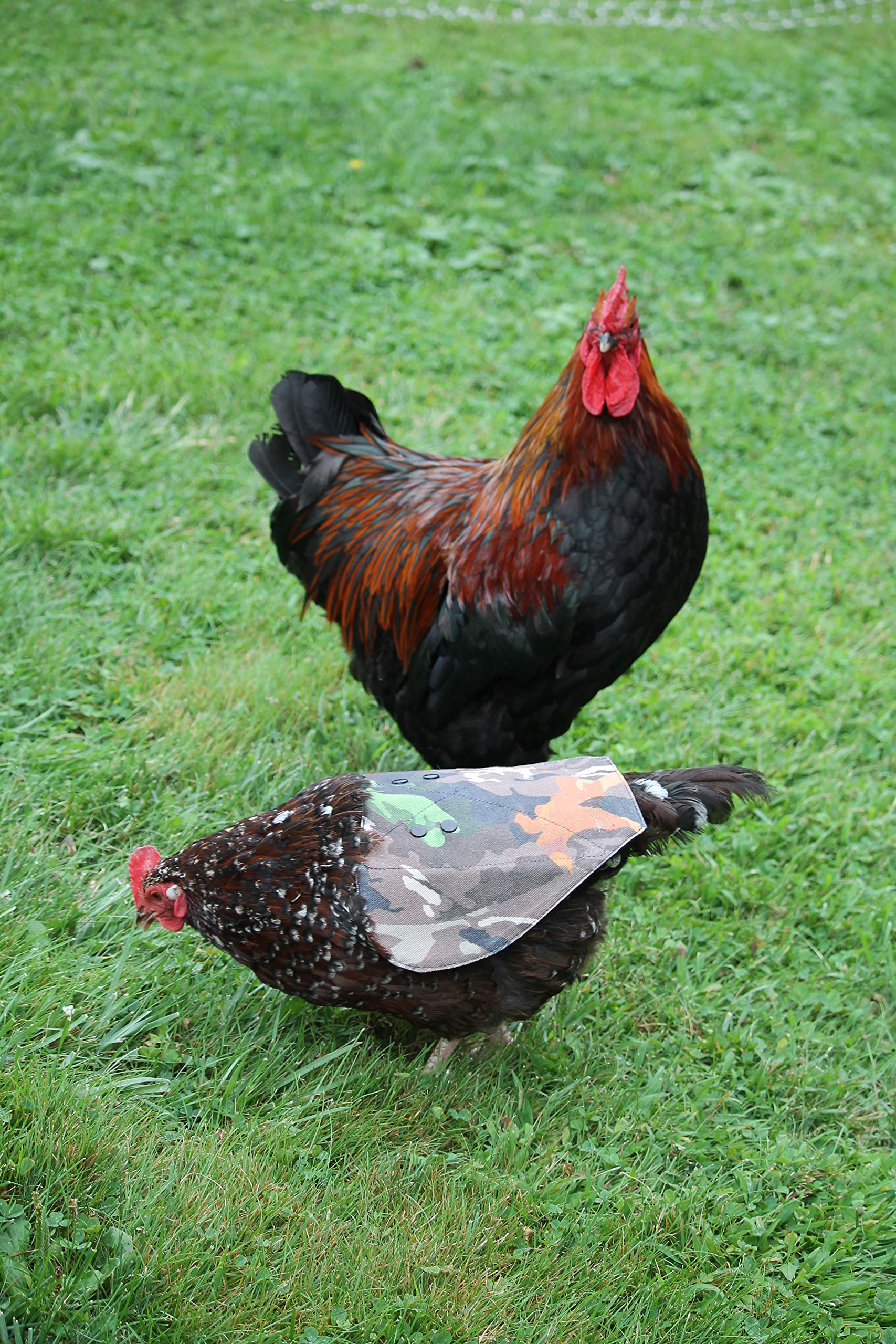 The Chicken Chick Hen Saddle camouflage pattern adds concealment in certain environments.