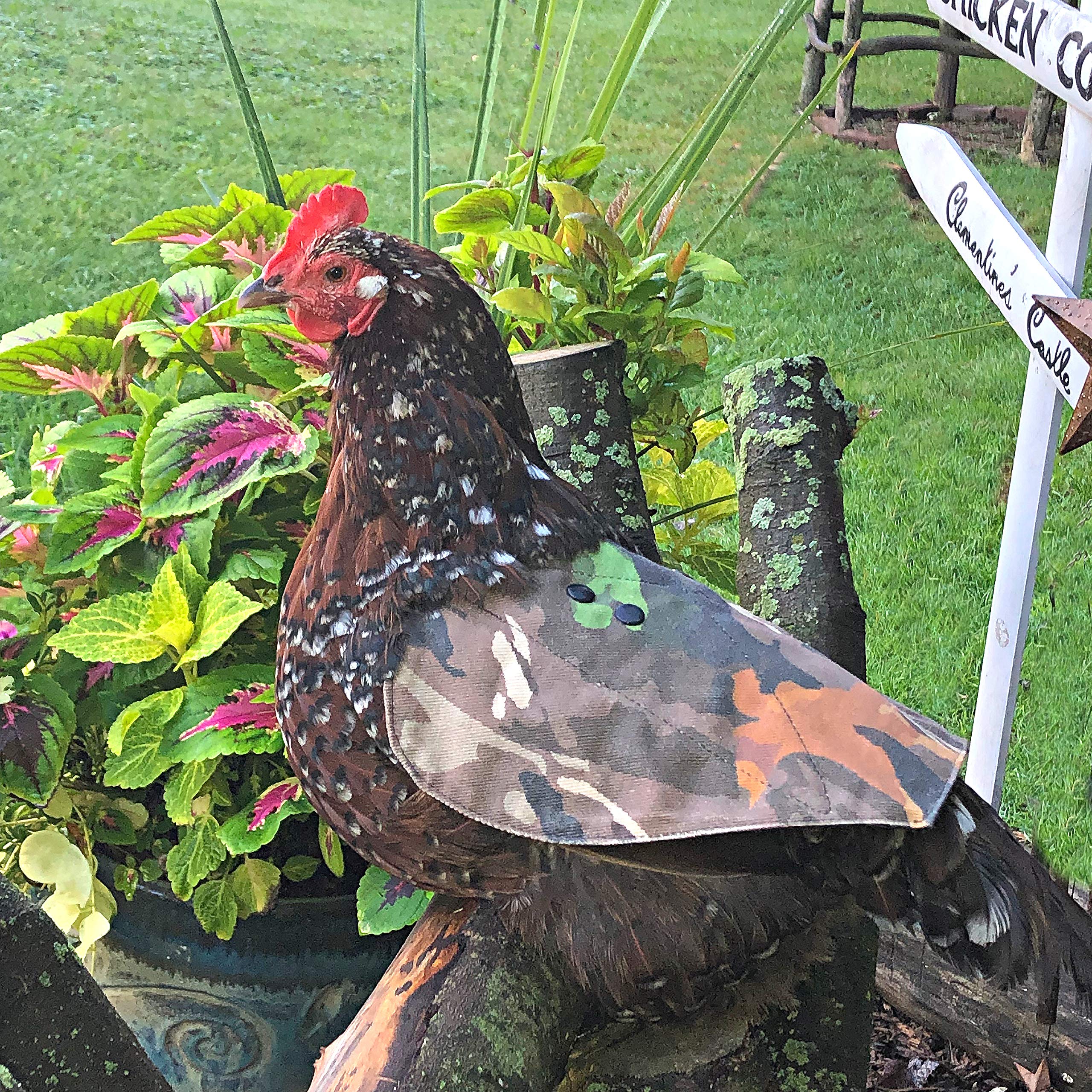 The Chicken Chick Hen Saddle stitching reinforces fit after washes.
