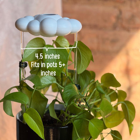 A beautifully packaged The Cloud Makers Dripping Rain Cloud as a gift option