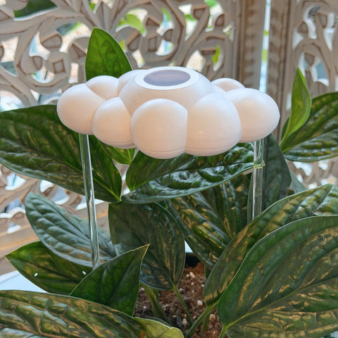 The Cloud Makers packaging, ready-to-use and recyclable for quick setup