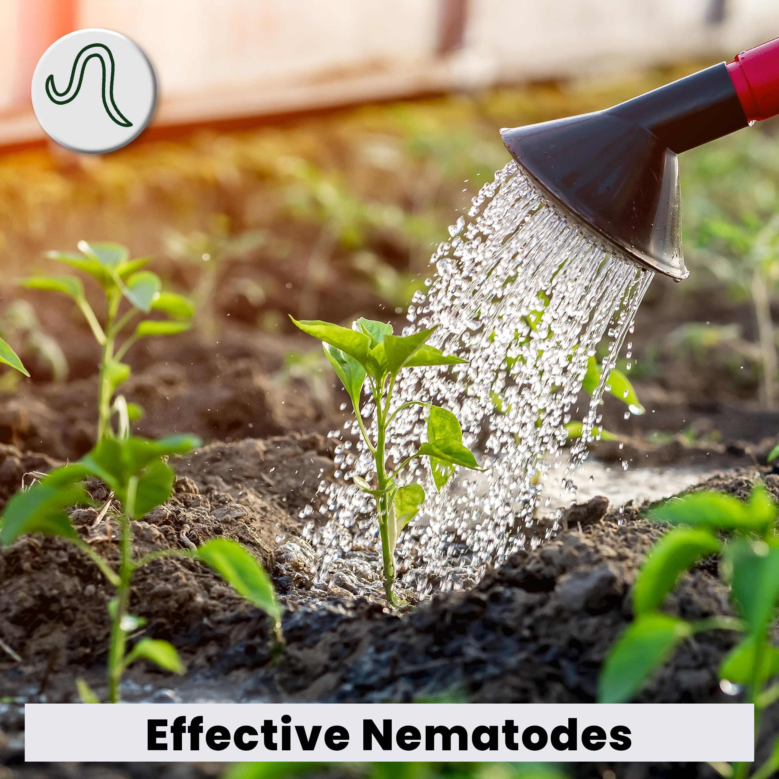 The Environmental Factor Pot Popper used in a hydroponics setup for pest management.