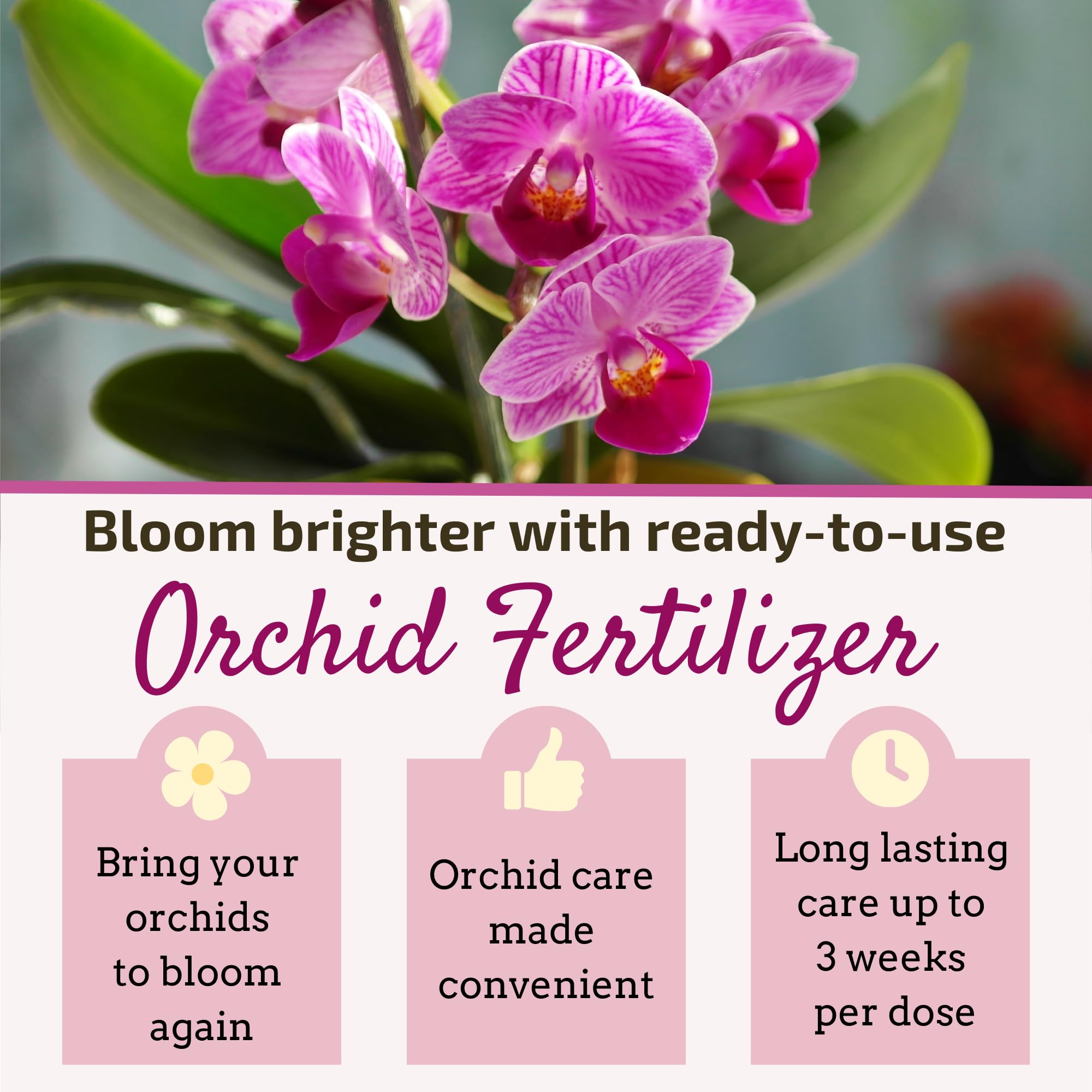 The Green Alcove Liquid Orchid Fertilizer Spikes with eight drip feeders ready for use.