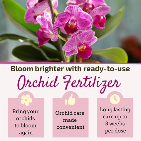 The Green Alcove Liquid Orchid Fertilizer Spikes with eight drip feeders ready for use.