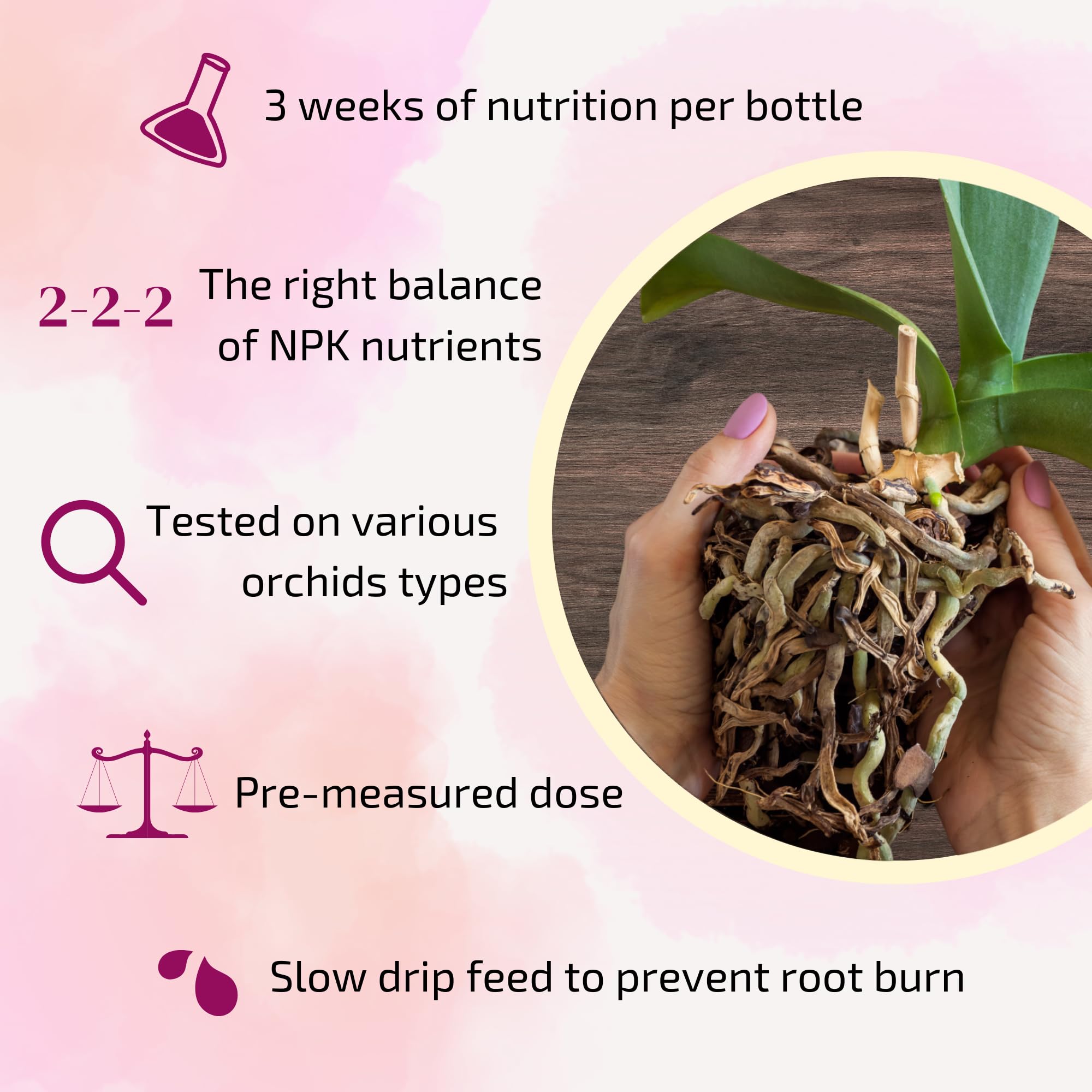 The Green Alcove Fertilizer Spikes being used on an orchid plant.