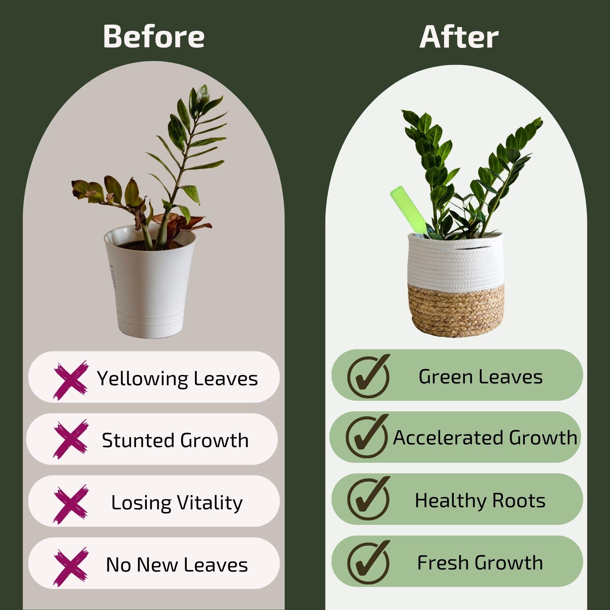 The Green Alcove liquid plant fertilizer quickly absorbs for faster nourishment.