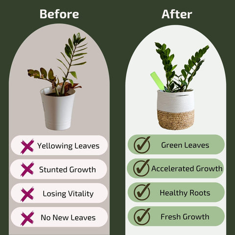 The Green Alcove liquid plant fertilizer quickly absorbs for faster nourishment.