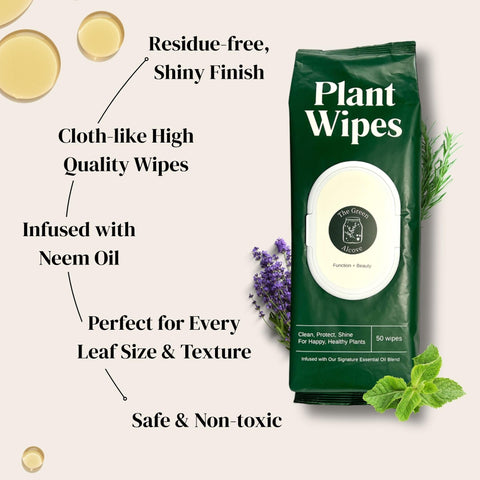 The Green Alcove packaging 2x50-wipes box communicates convenience for routine care.