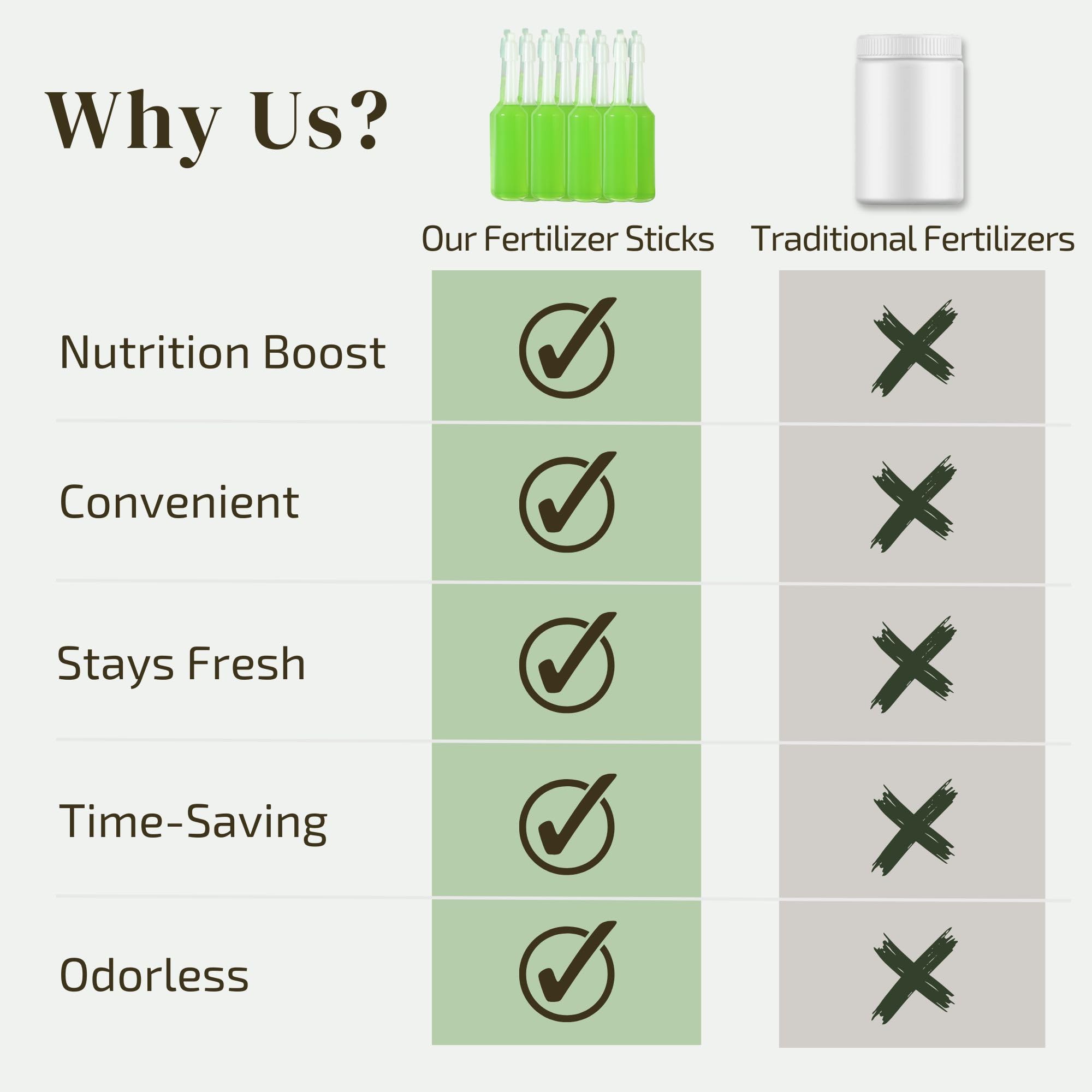 The Green Alcove balanced nutrients support vibrant leaves and healthy growth.