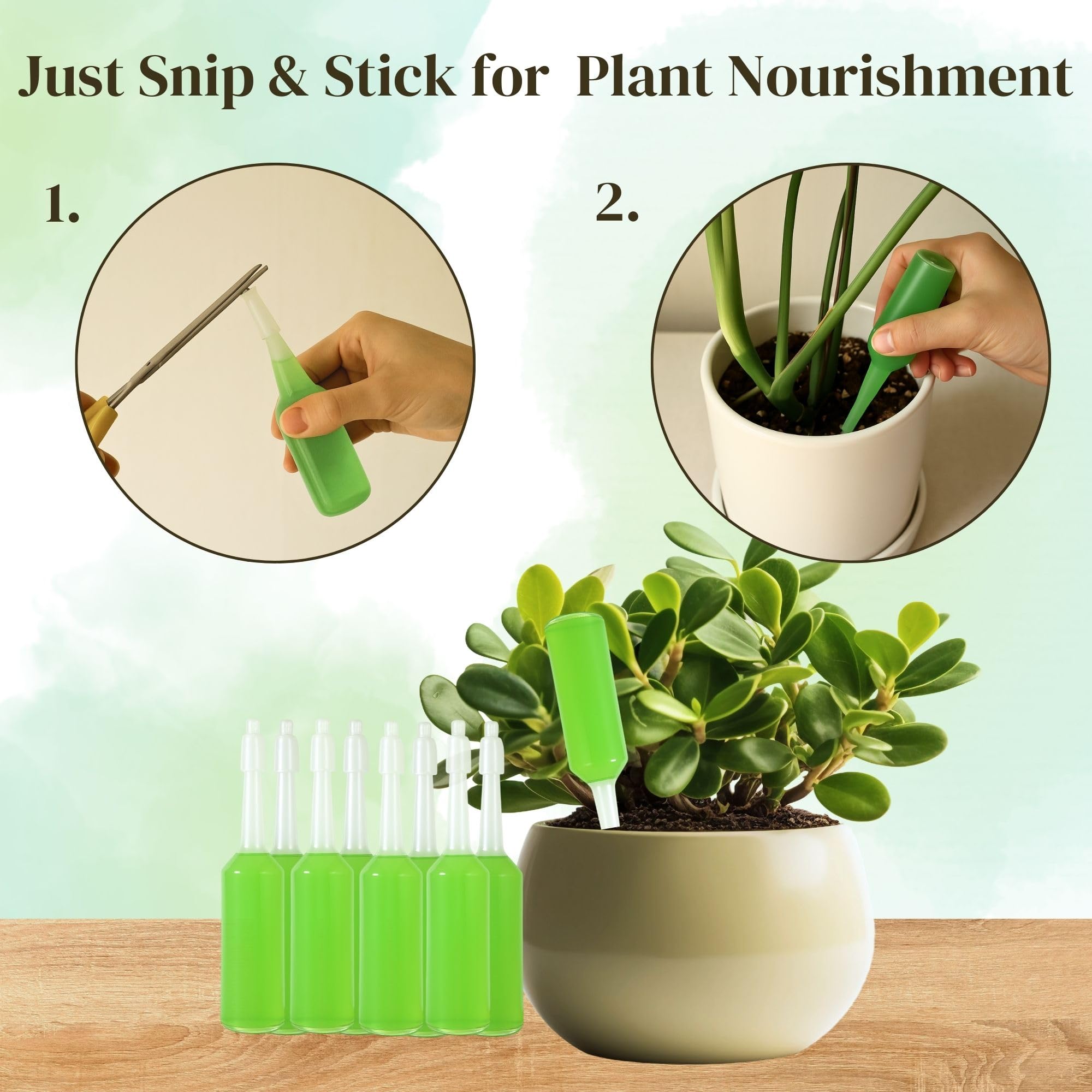 The Green Alcove root development support promotes robust root systems.