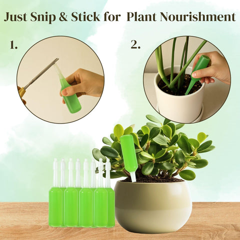 The Green Alcove root development support promotes robust root systems.