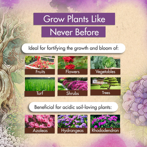 The Grow Co ammonium sulfate supports azalea and hydrangea blooms with balanced nutrition.