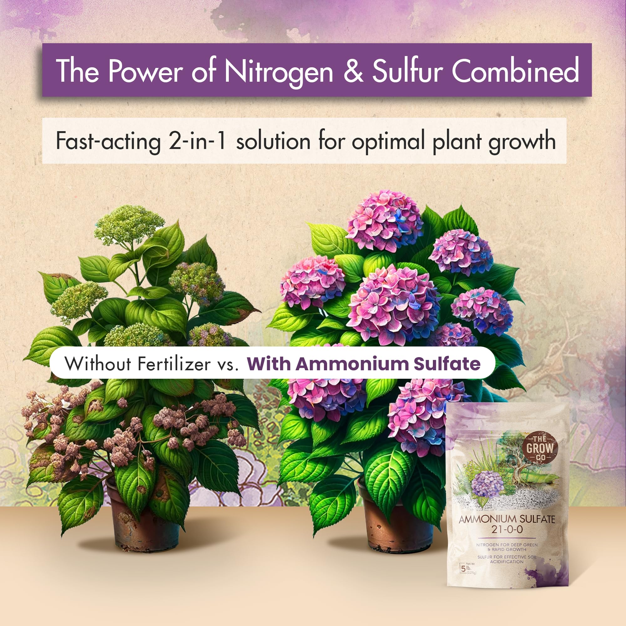 The Grow Co ammonium sulfate bottle pour shows easy application for lawns.
