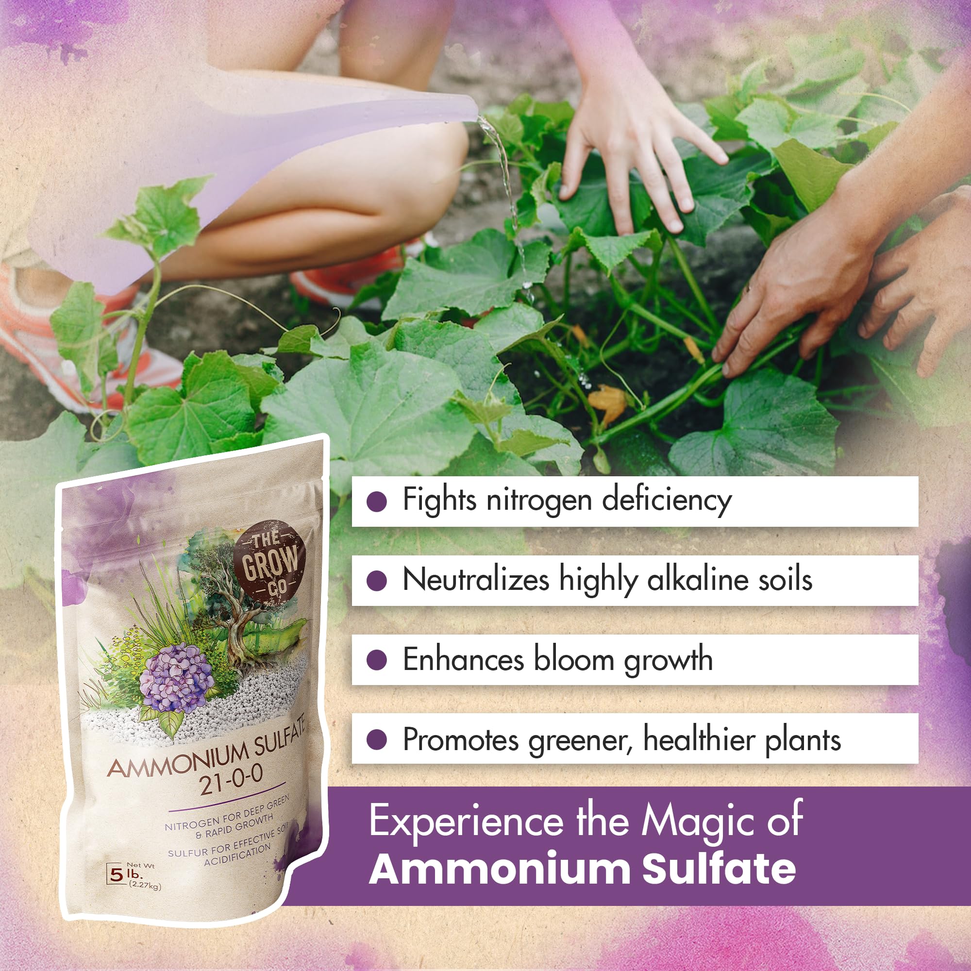 The Grow Co lawn and garden feed promotes greener foliage and sturdier stems.