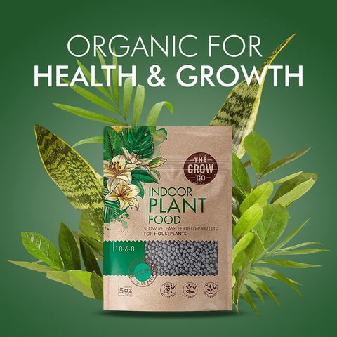 The Grow Co beginner-friendly plant care supports confident feeding for new plant owners.