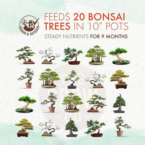 Pellets placed around the base of a bonsai for easy application with The Grow Co product.