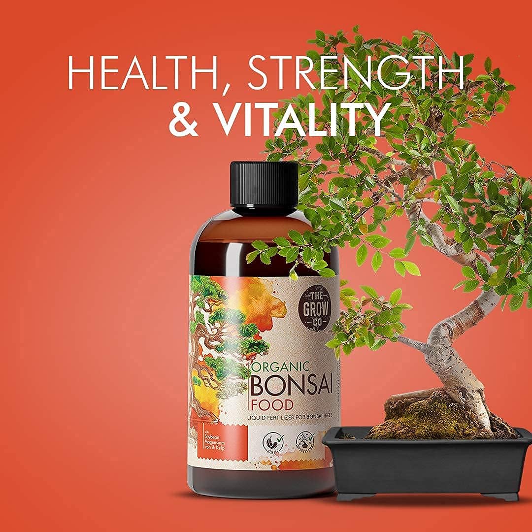 The Grow Co Bonsai care setup shows indoor and outdoor versatility.