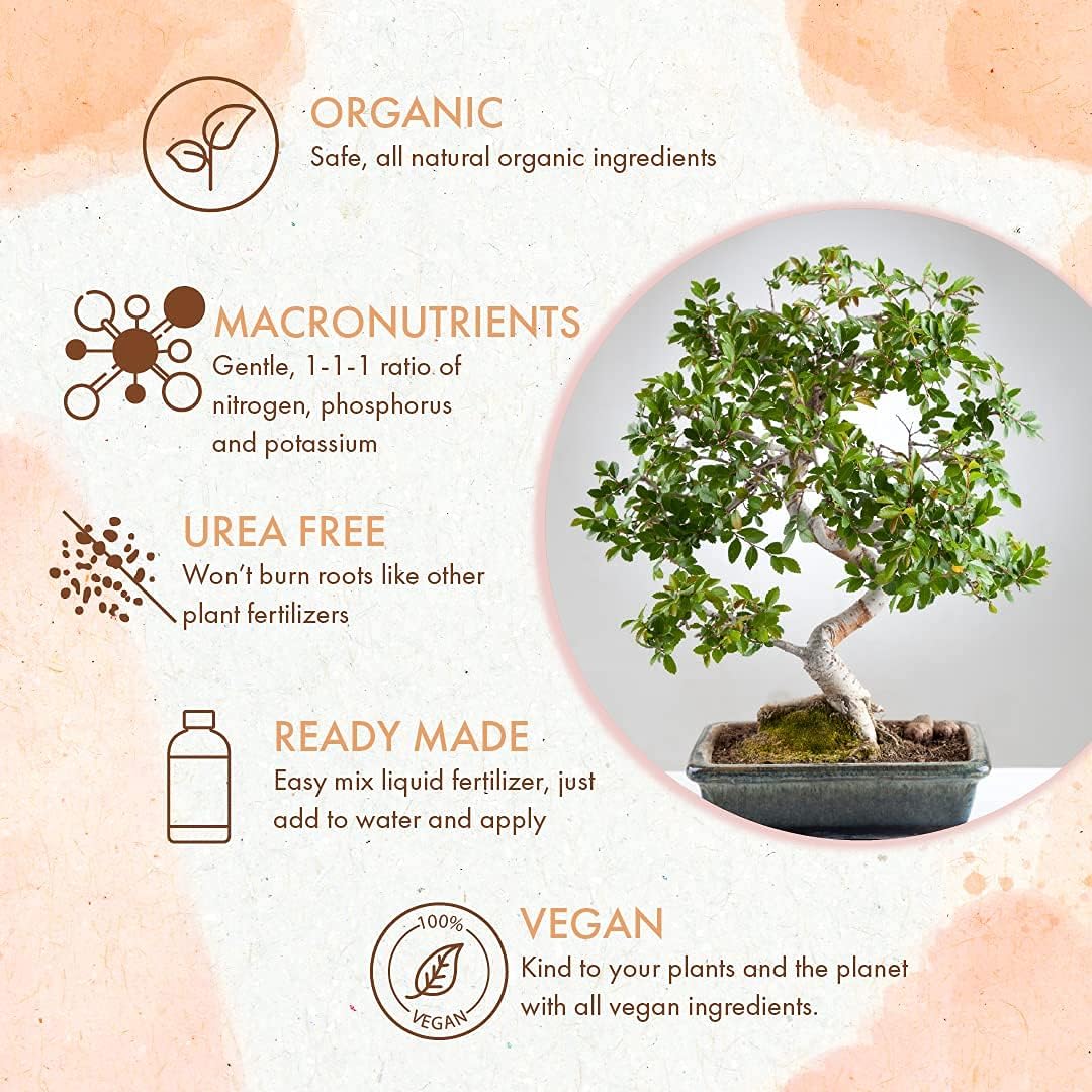 The Grow Co Bonsai leaves and blooms showcase vibrant color and budding flowers.