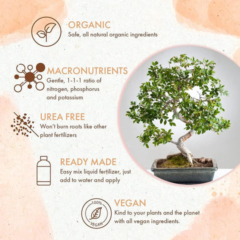 The Grow Co Bonsai leaves and blooms showcase vibrant color and budding flowers.