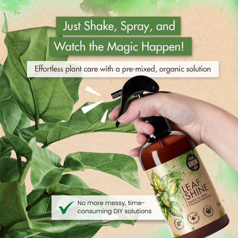 The Grow Co Leaf Shine glossy leaves for indoor and outdoor plants.