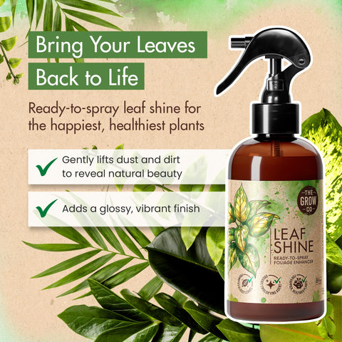 The Grow Co Leaf Shine on leaves highlights natural sheen and vibrant color.
