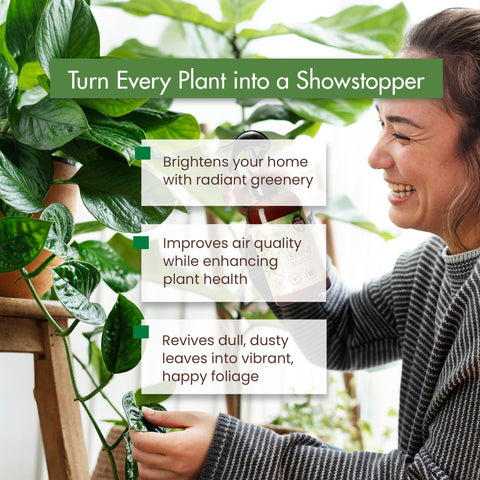 The Grow Co Leaf Shine is suitable for houseplants, veggies, and trees.