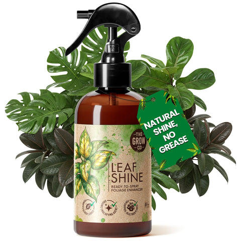 The Grow Co Leaf Shine Spray bottle for easy plant care and glossy foliage.
