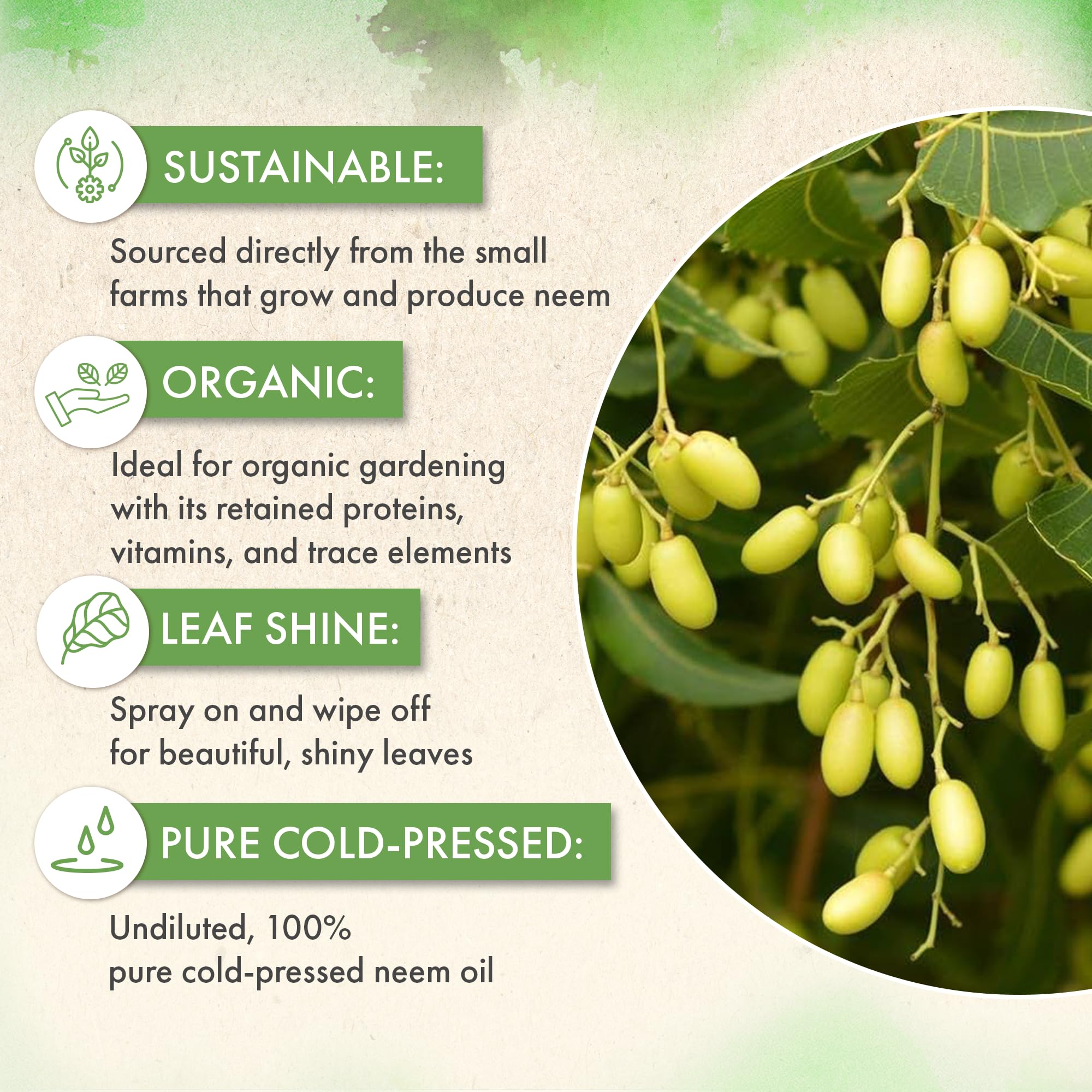 The Grow Co neem oil cosmetic-grade use enables DIY beauty blends