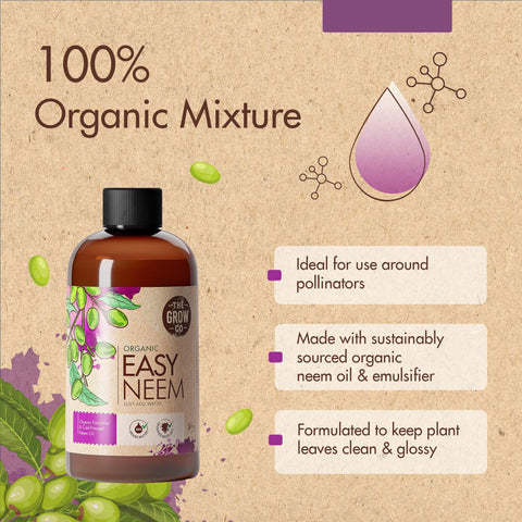The Grow Co neem oil provides a dust shield on indoor leaves