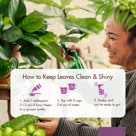 The Grow Co neem oil applied to outdoor garden plants