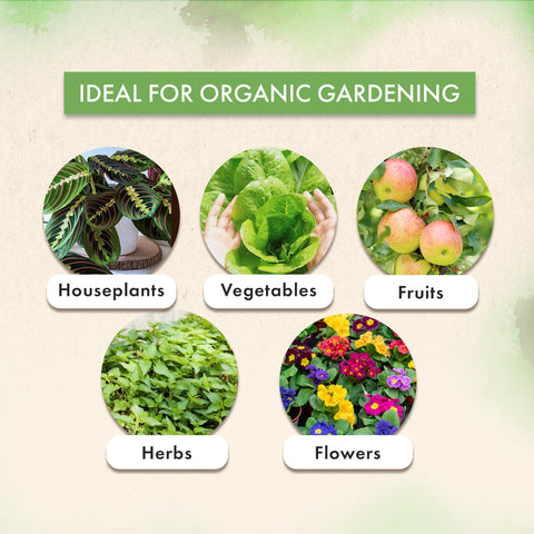 The Grow Co neem oil sustainable sourcing highlights ethical farming practices
