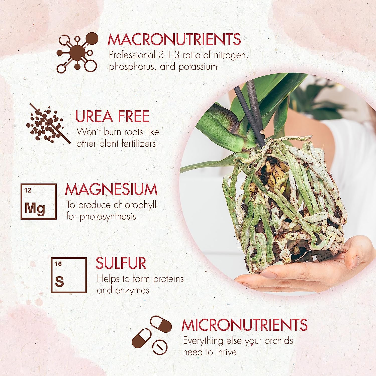 The Grow Co formula supports orchid growth spikes and lush foliage