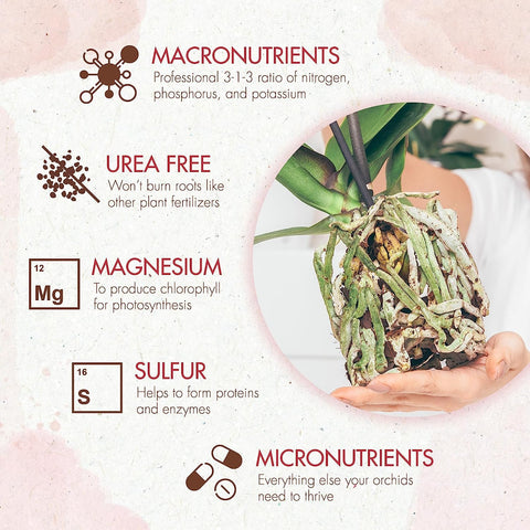 The Grow Co formula supports orchid growth spikes and lush foliage