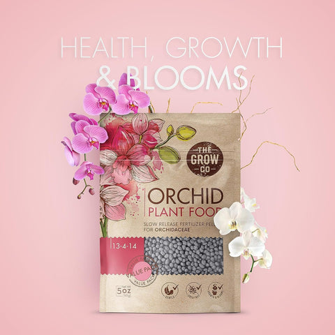 Rebloom-ready setup in orchid pot with The Grow Co food