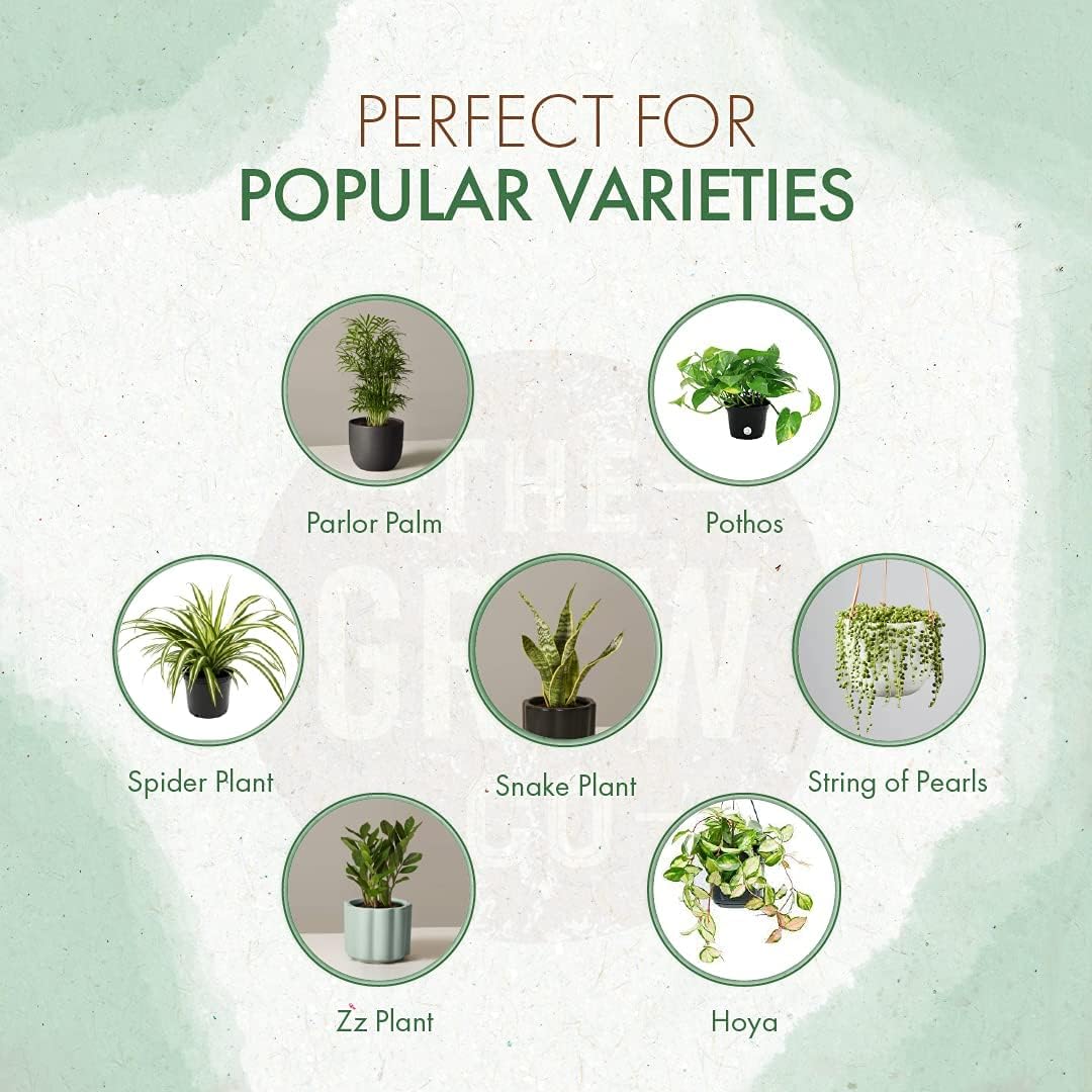 The Grow Co Organic Indoor Plant Food measuring cup demonstrates precise dosing for healthy results.