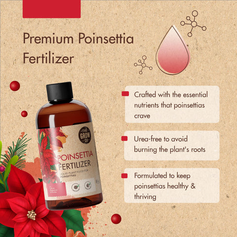 The Grow Co poinsettia green leaves healthy emphasizes strong hydration and long-lasting decor.