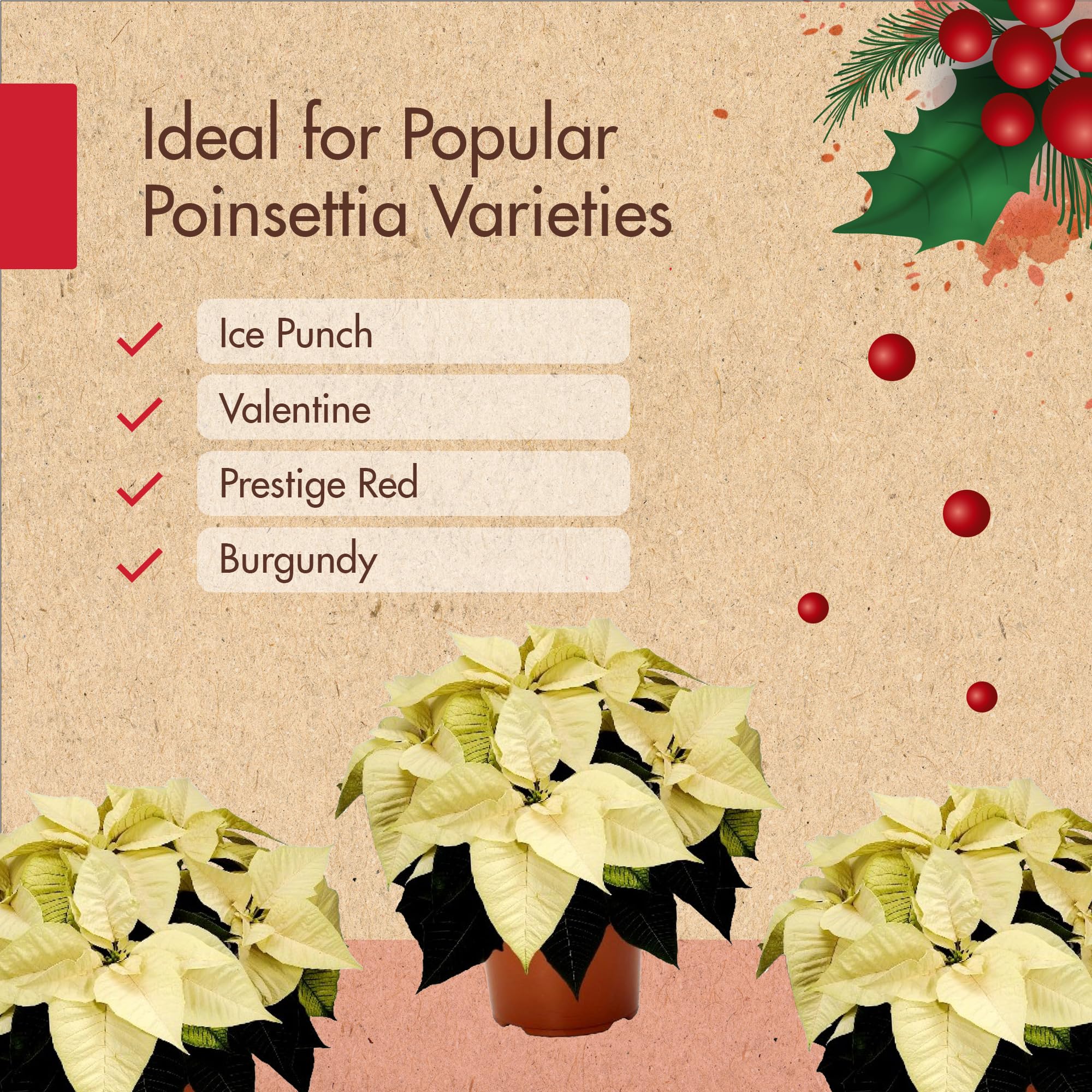The Grow Co holiday display showcases poinsettia color as festive home decor.