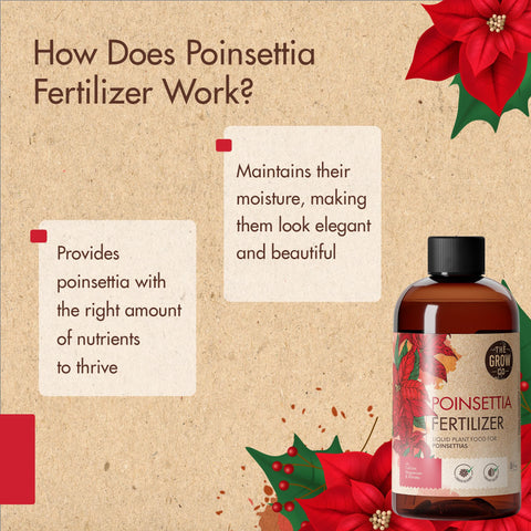 The Grow Co watering habit tip promotes simple weekly care for poinsettias.
