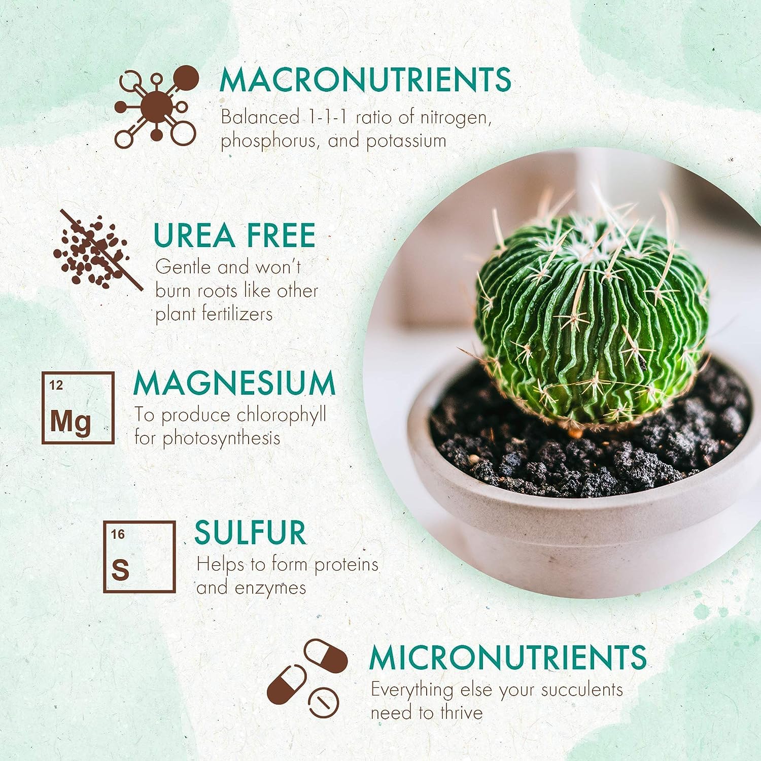 the grow co succulents cactus plant food suitable for terrariums and indoor displays