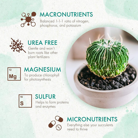 the grow co succulents cactus plant food suitable for terrariums and indoor displays