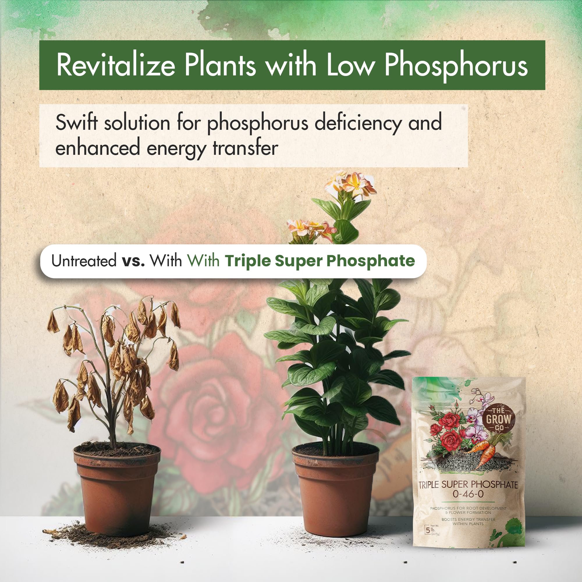 The Grow Co fertilizer boosts bigger blooms with vibrant color and longer flowering.