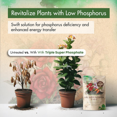 The Grow Co fertilizer boosts bigger blooms with vibrant color and longer flowering.