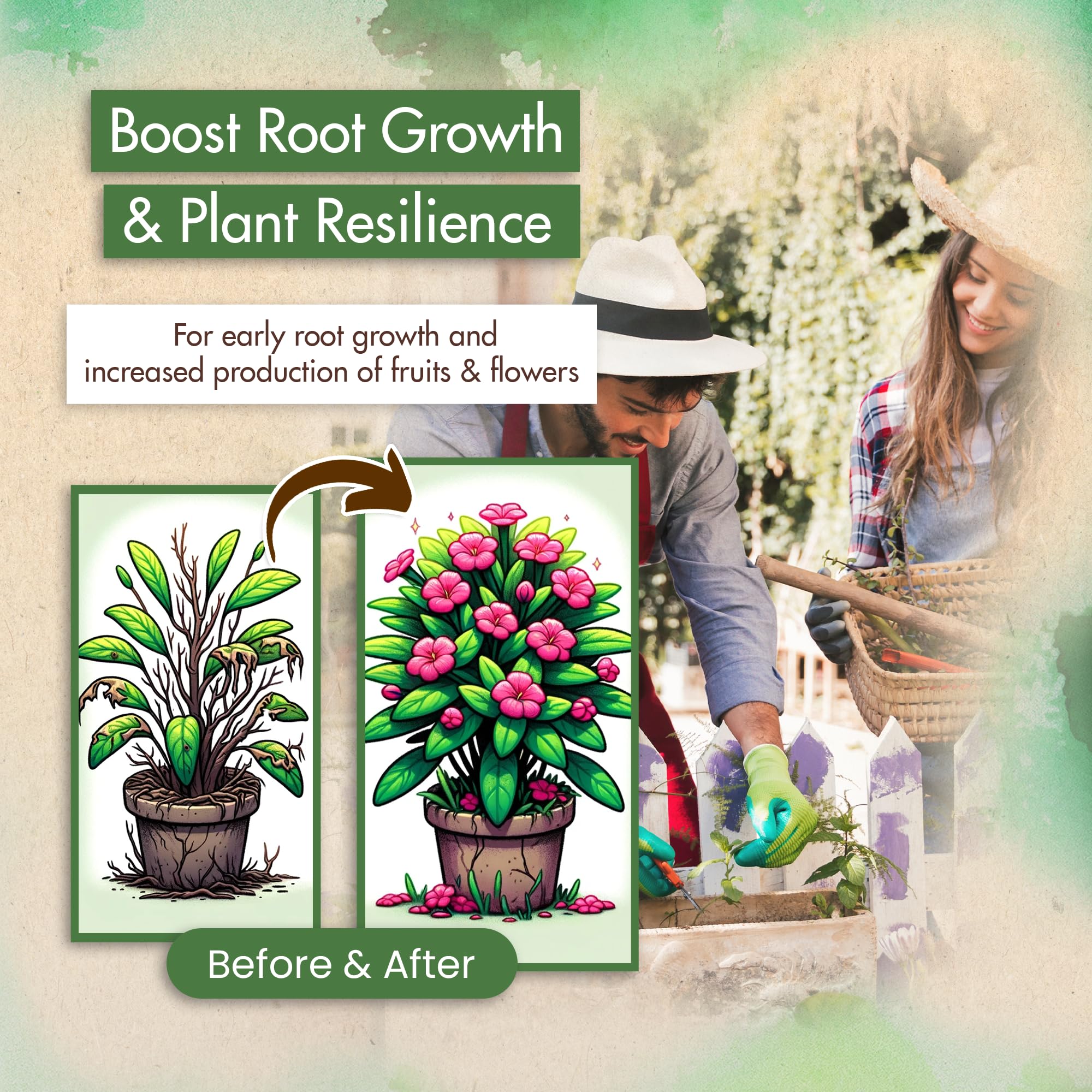 The Grow Co 0-46-0 helps yield more fruit and larger vegetables with phosphorus support.